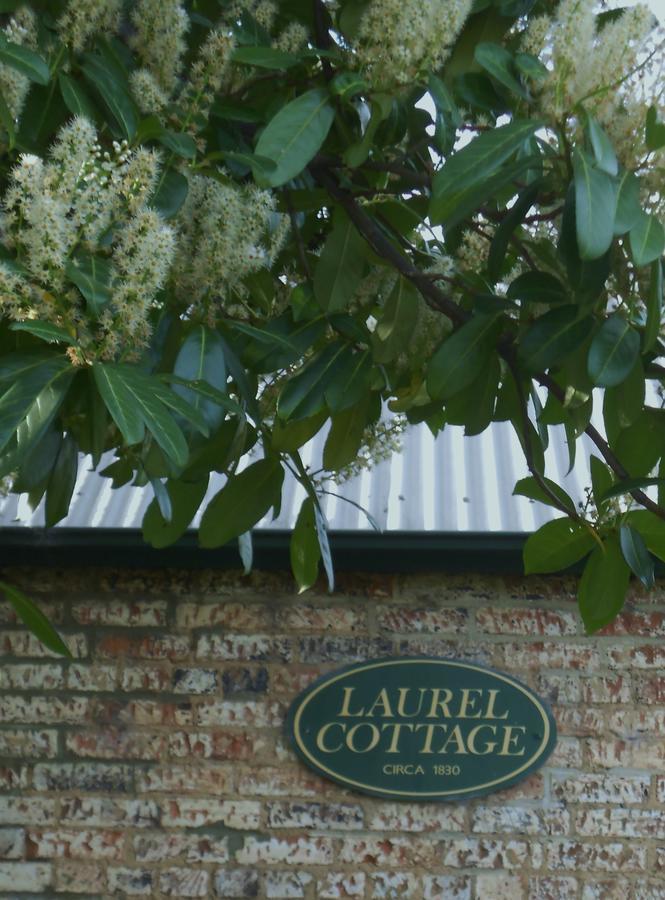 Laurel Cottage Richmond Extérieur photo